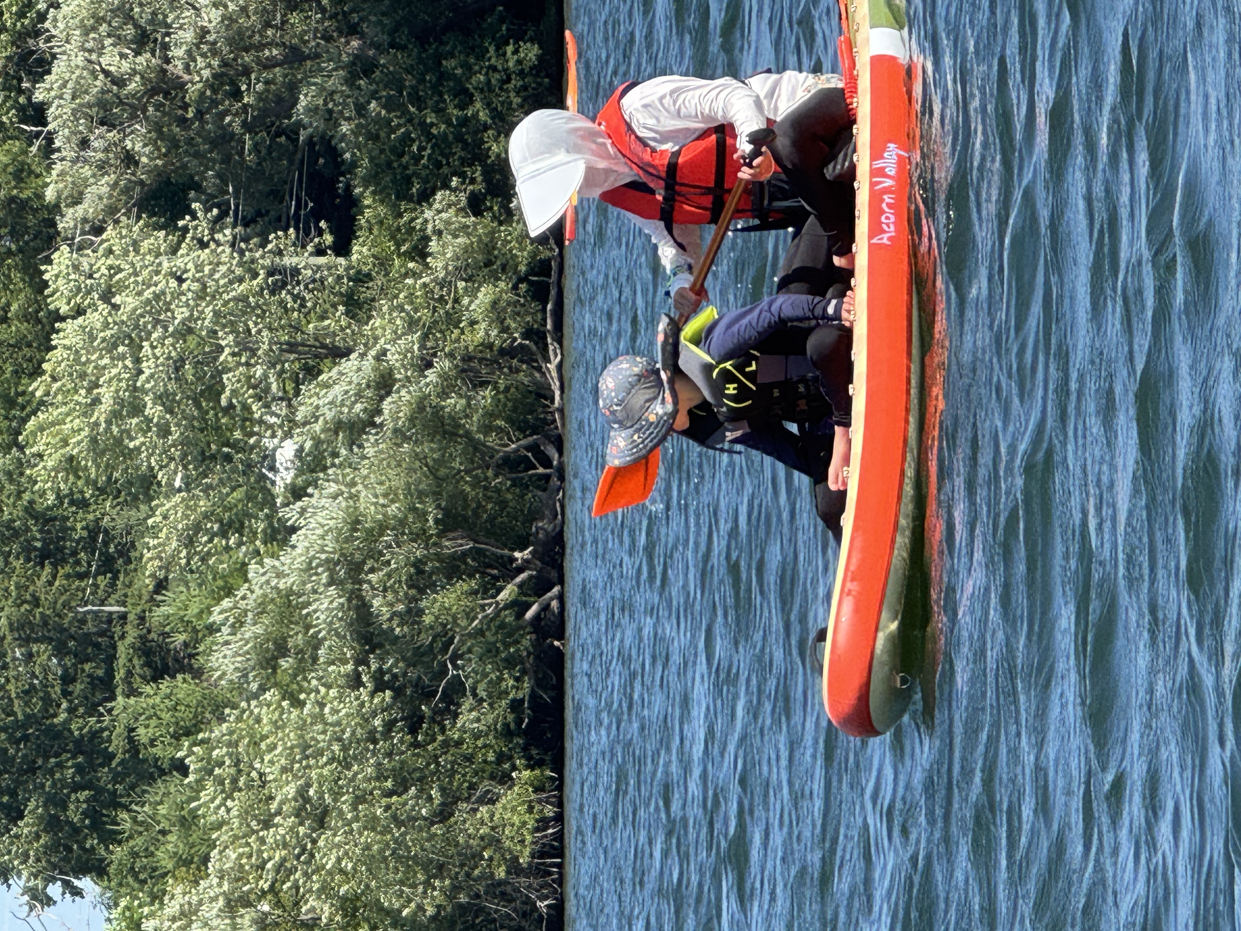 Lake Wilcox waterfront in Richmond Hill where SUP lessons take place